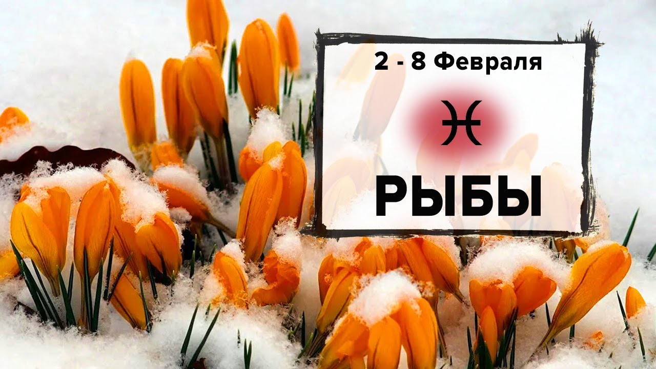 РЫБЫ ♓ 2 - 8 Февраля 2026 | Расклад таро на неделю для знака Зодиака Рыбы