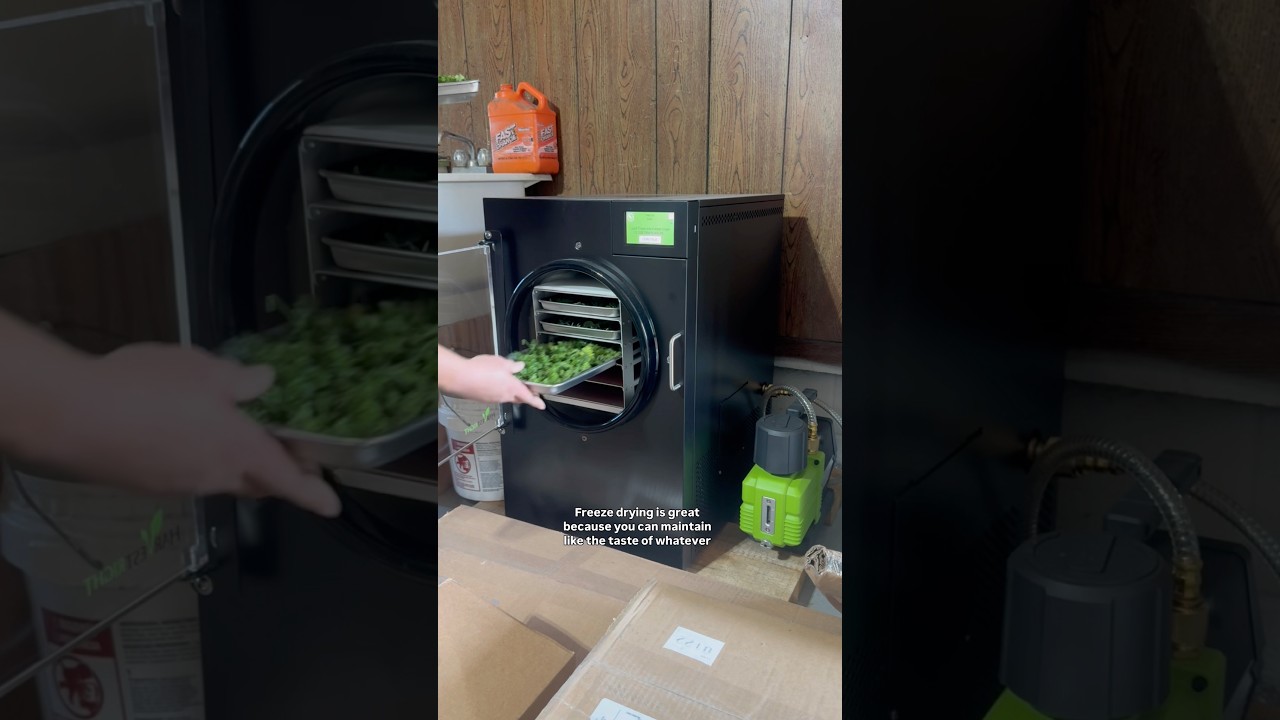 Сублимированная сушка трав! #замороженныетравы #консервированиетрав #сбортрав #консервированиебаз...