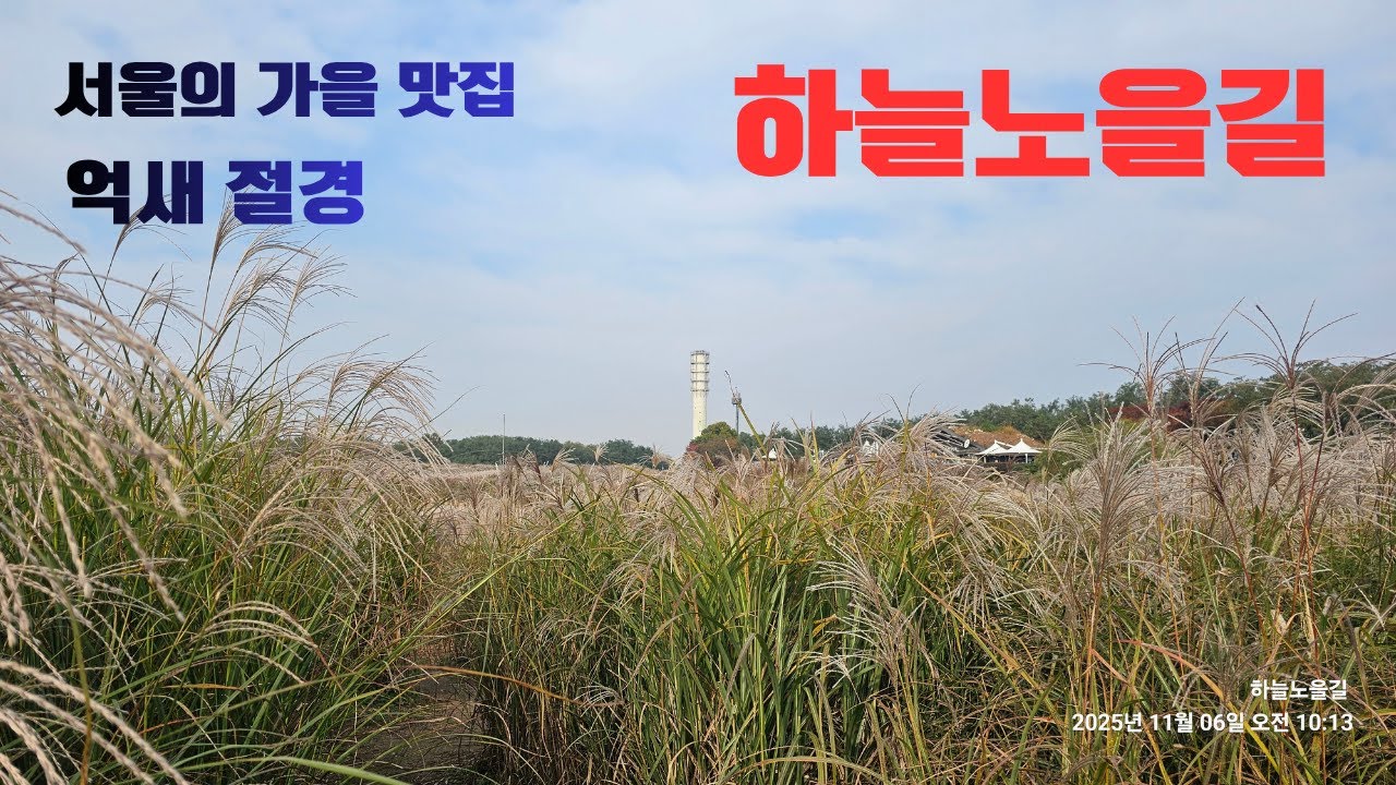 하늘공원( 서울 상암동 월드컵 경기장 공원)