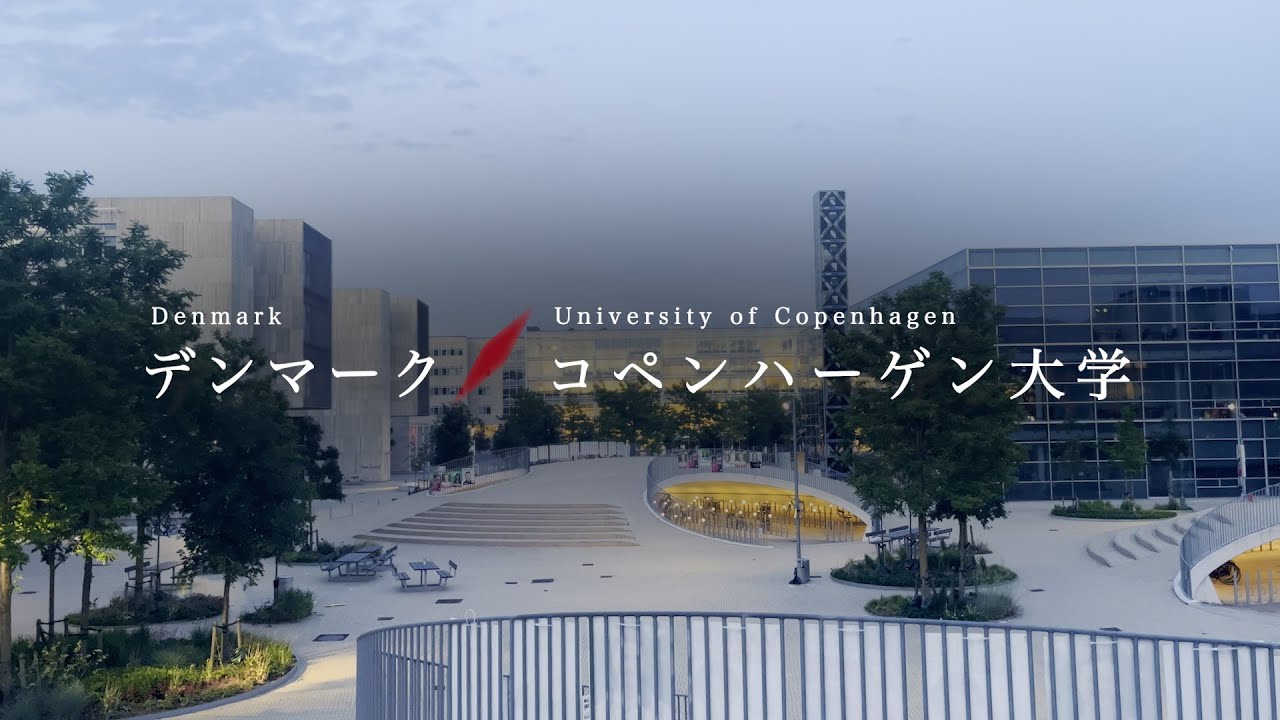 早稲田大学留学リポート2024 #6 コペンハーゲン大学/Waseda University Study Abroad Report, University of Copenhagen