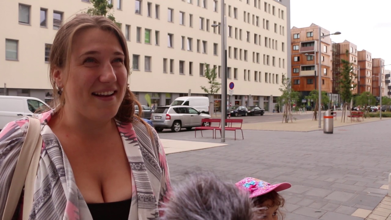 Seestadt Umfrage