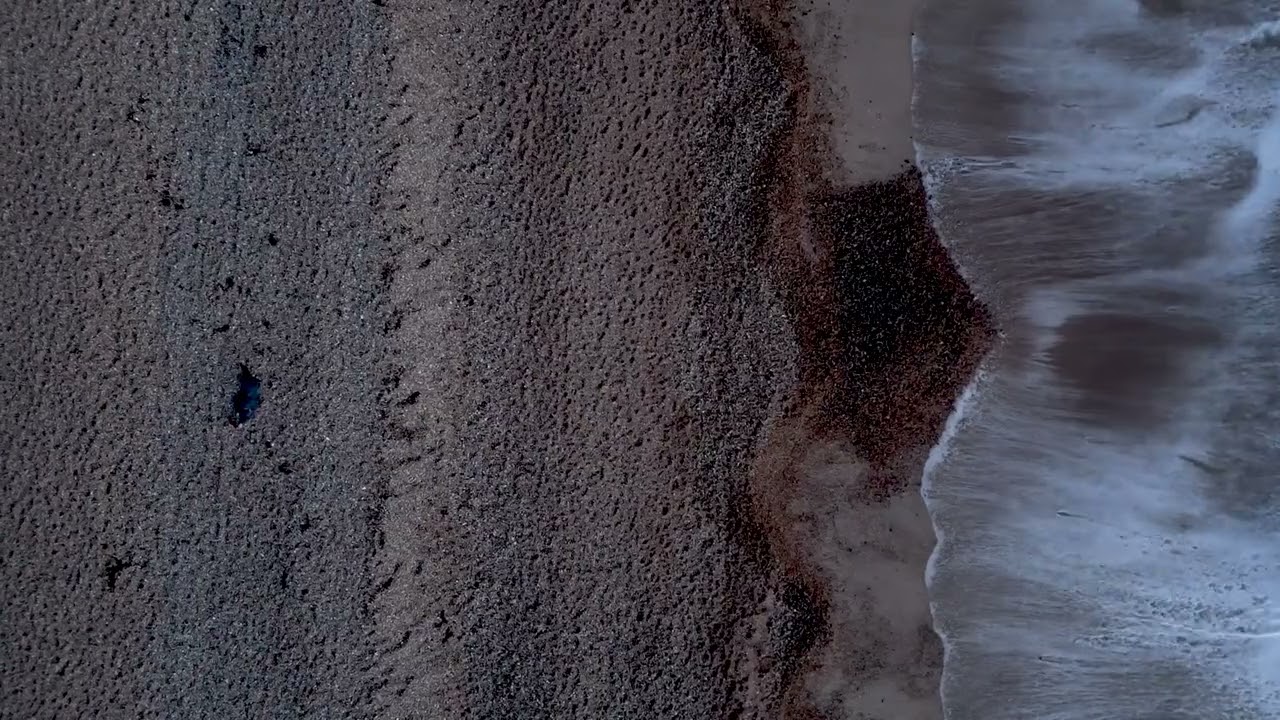 TAKE ME BACK - THE LILY ROBINSONS (OFFICIAL VISUALISER)