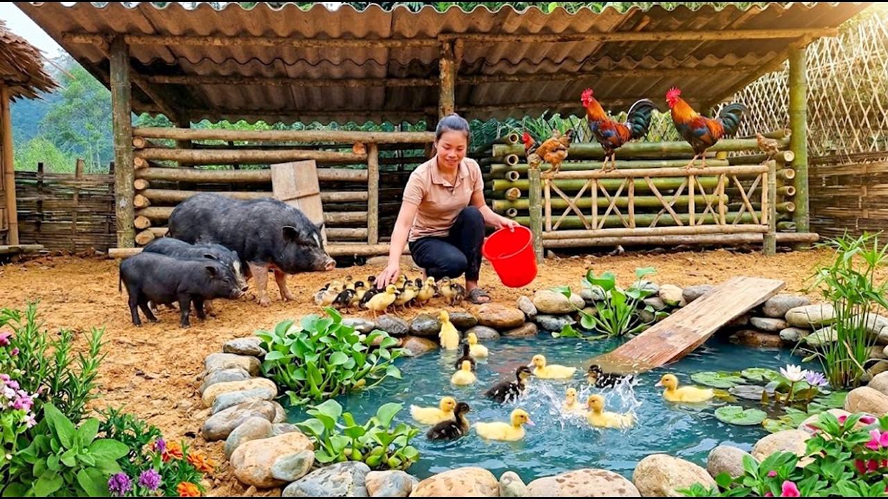 How I Built My Duck Pond & Raised Wild Boars | Living Off The Grid Full Movie