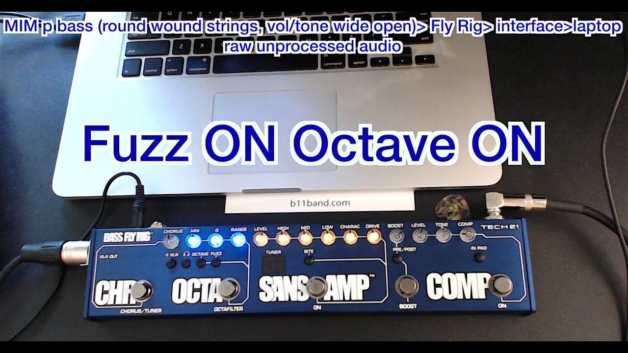 Bass Fly Rig by Tech21