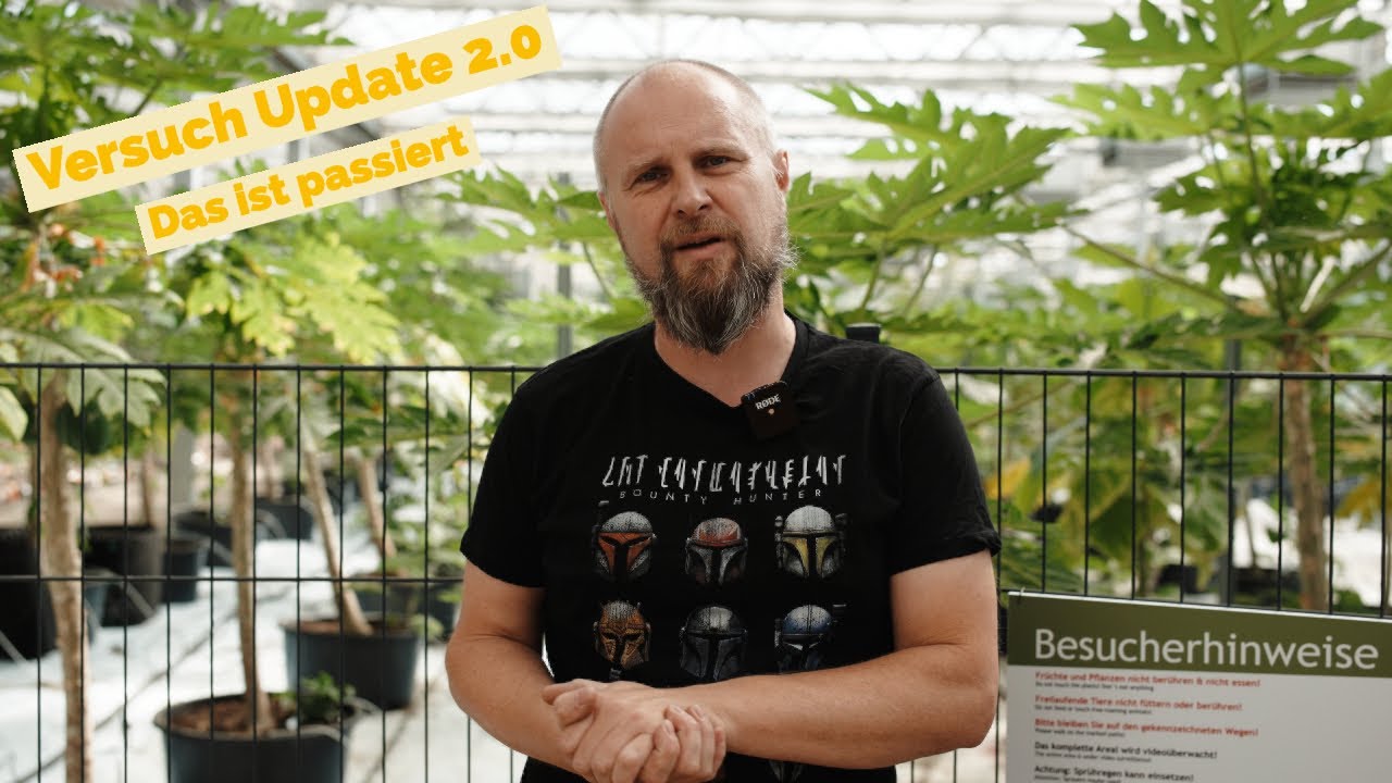 Gemüse-Versuch im Tropenhaus - Update #diyplanters #tropicalhouse #gemüseanbau #papaya #