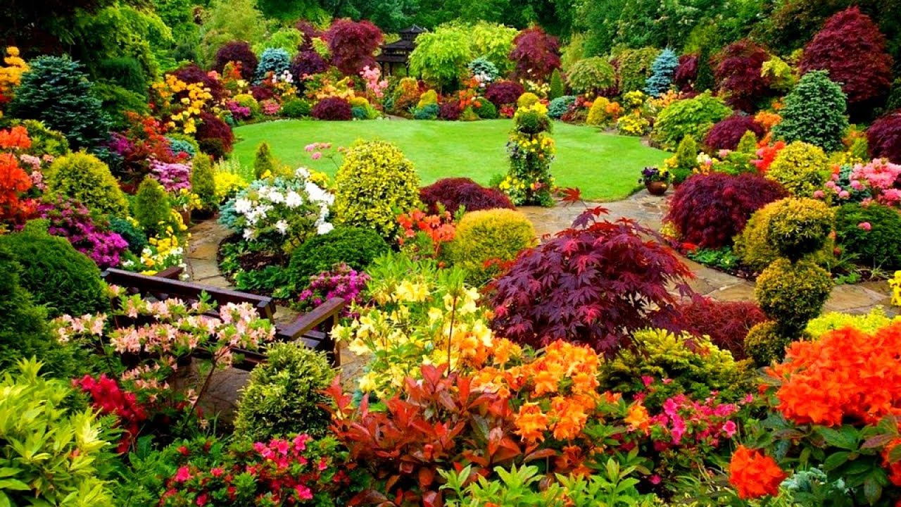 Ideas for Gardens Designs