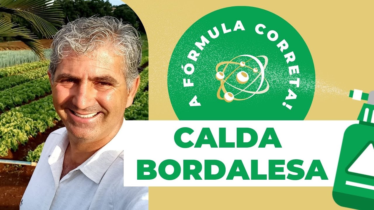 CALDA BORDALESA: APRENDA COMO FAZER (serve também para agricultura orgânica)