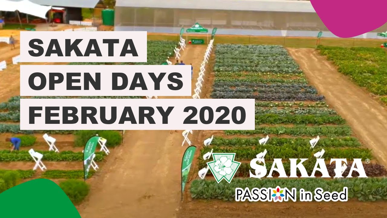 Sakata Open Days February 2020