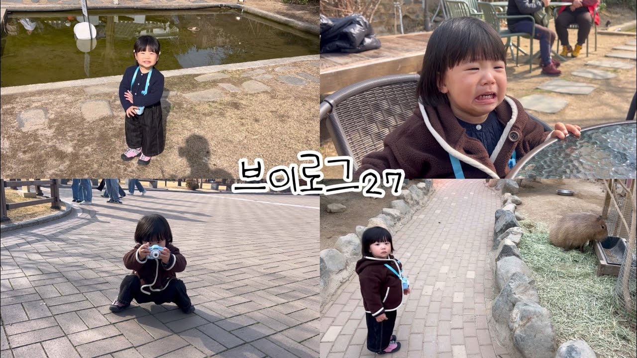 [브이로그27] 19개월 아기랑 아빠랑 단둘이 떠나는 여행🚂(경주, 기차여행, 경주카페, 경주맛집, 실내동물원, 아빠랑아기랑)
