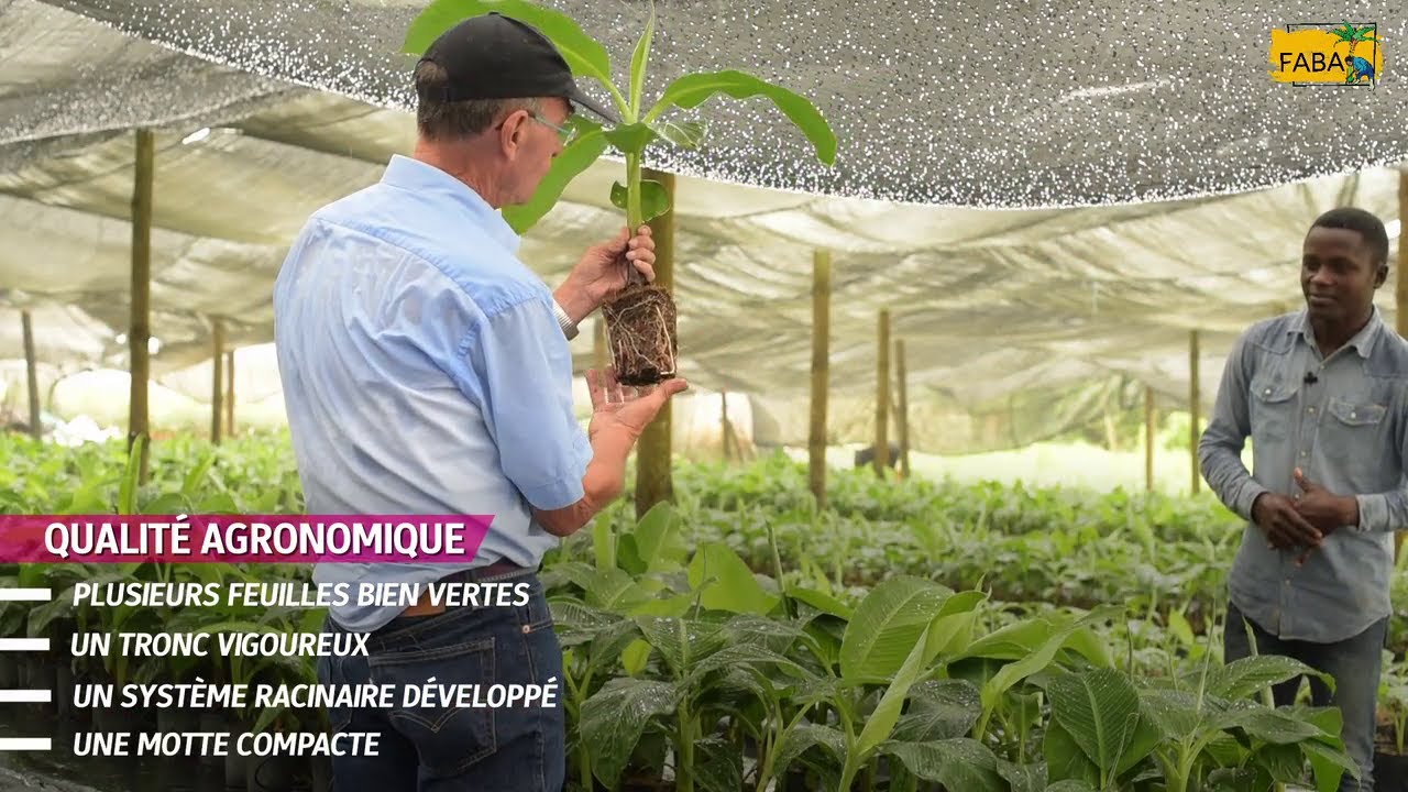 FABA - Le matériel de plantation : bien choisir pour durer