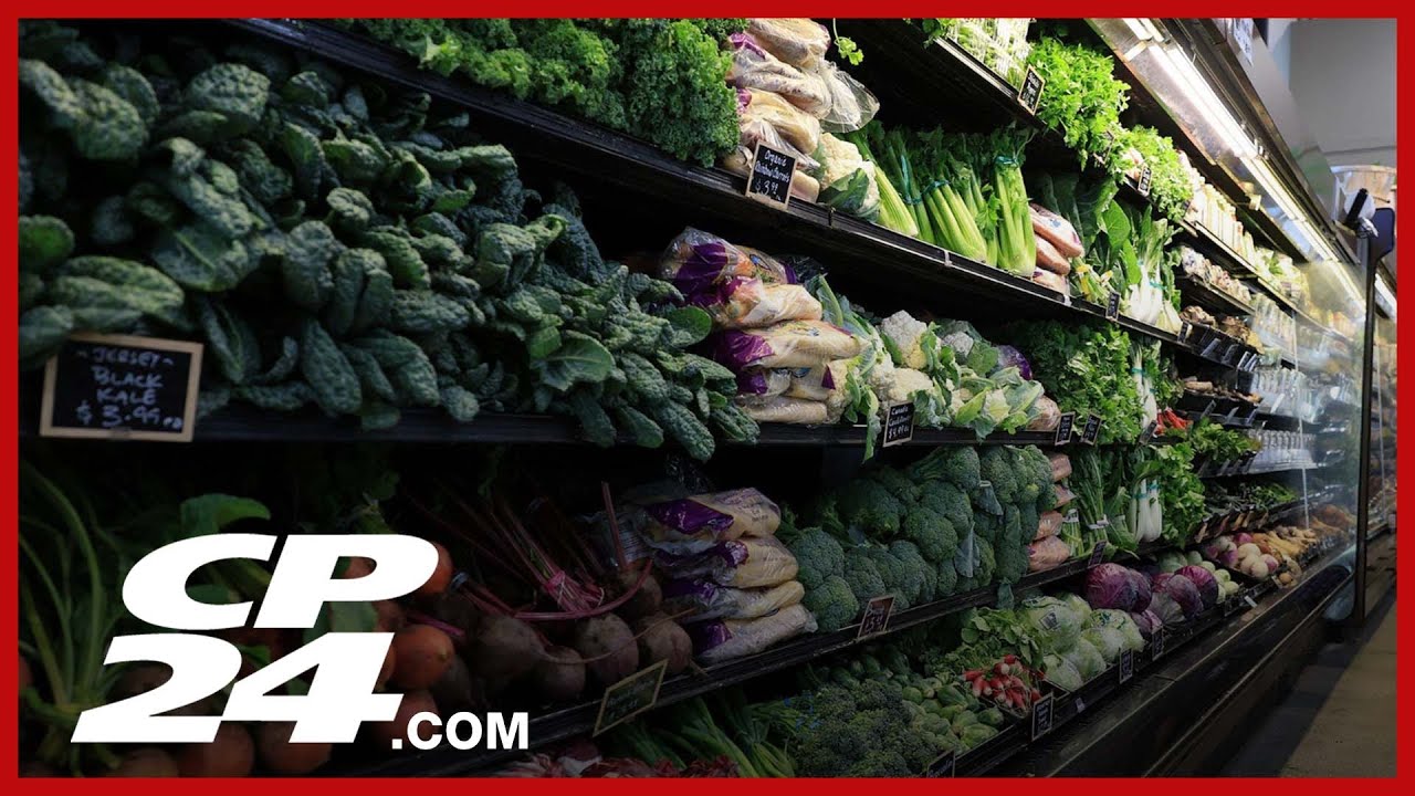 Grocery prices remain highest financial stress point among Canadians: Nanos