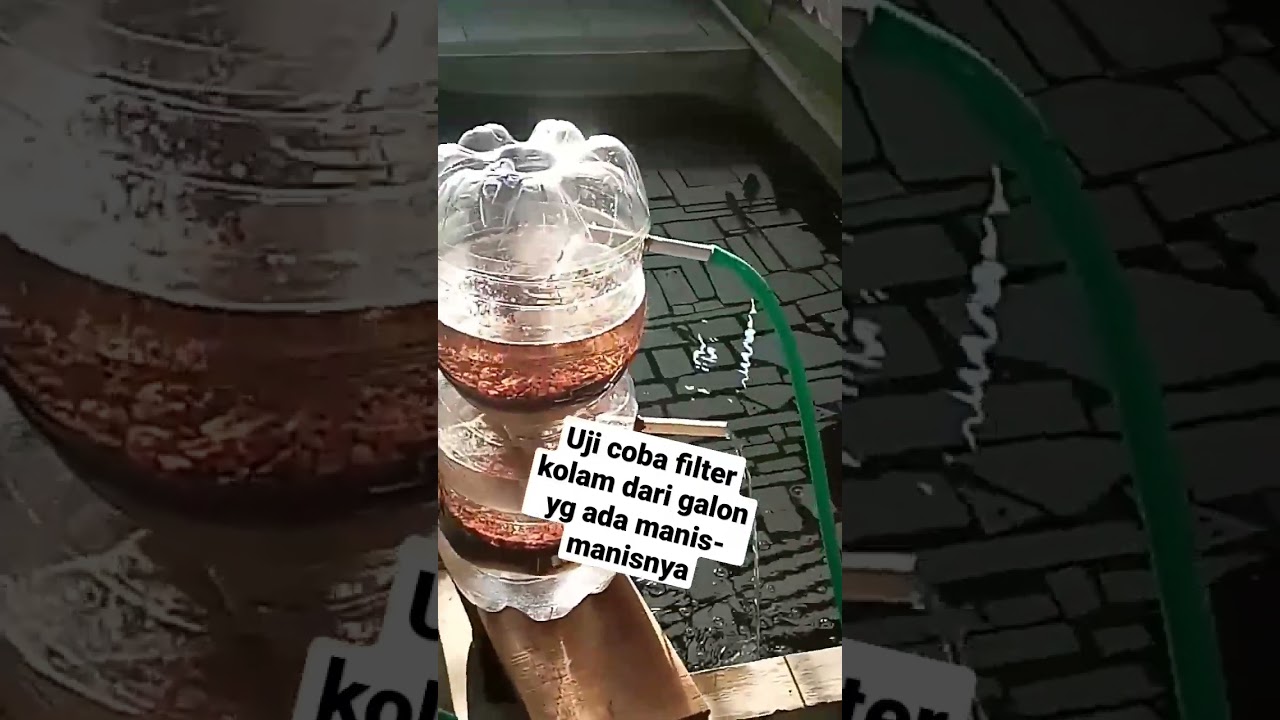 FILTER KOLAM MURAH MERIAH
