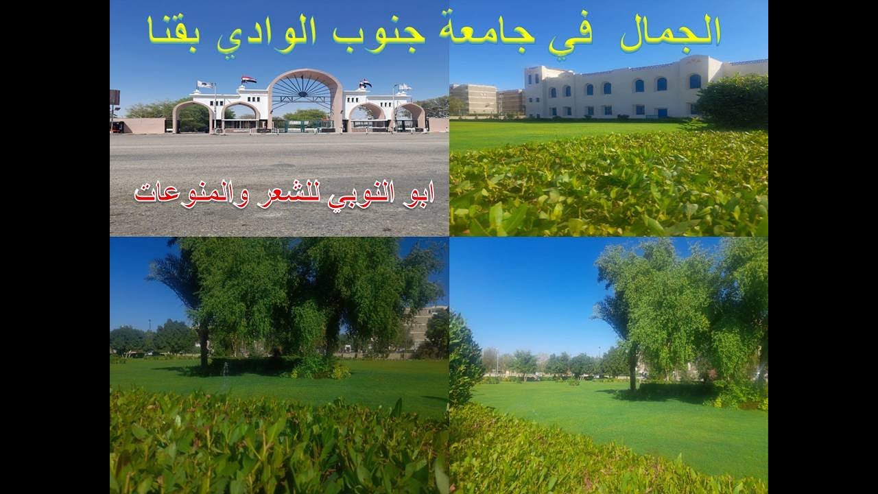 جامعة جنوب الوادي بقنا