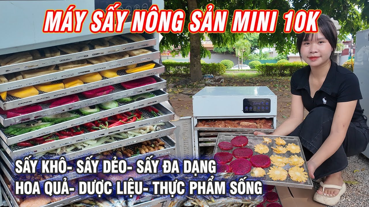 Máy Sấy Nông Sản Mini 10K - Sấy Khô, Sấy Dẻo, Sấy Đa Dạng Hoa Quả, Dược Liệu, Thực Phẩm Sống