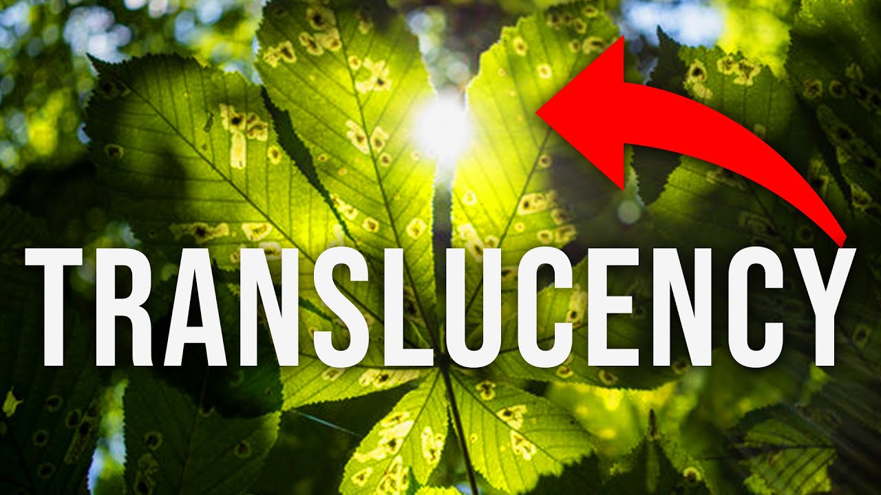 THIS TEXTURE WILL MAKE OR BREAK YOUR UE 5 FOLIAGE!!!