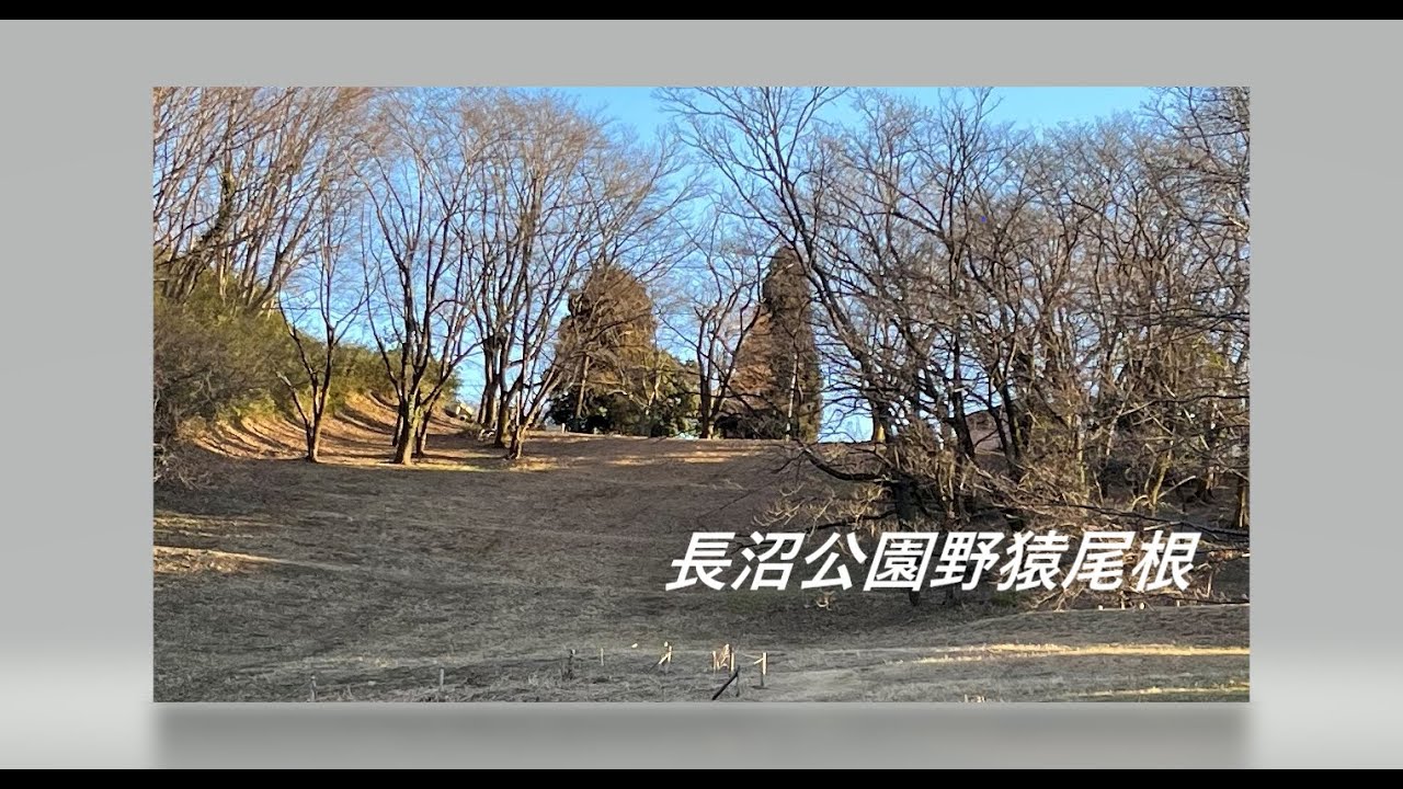 【長沼公園野猿尾根】東京都八王子市のお手軽ハイキングコース