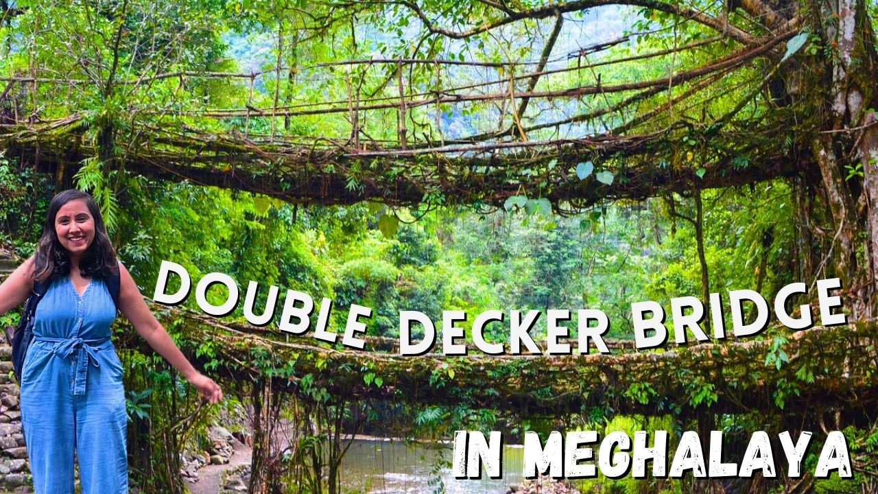 Double Decker Root Bridge | Beginner Trekking | Single Root Bridge | Cherrapunji | Meghalaya