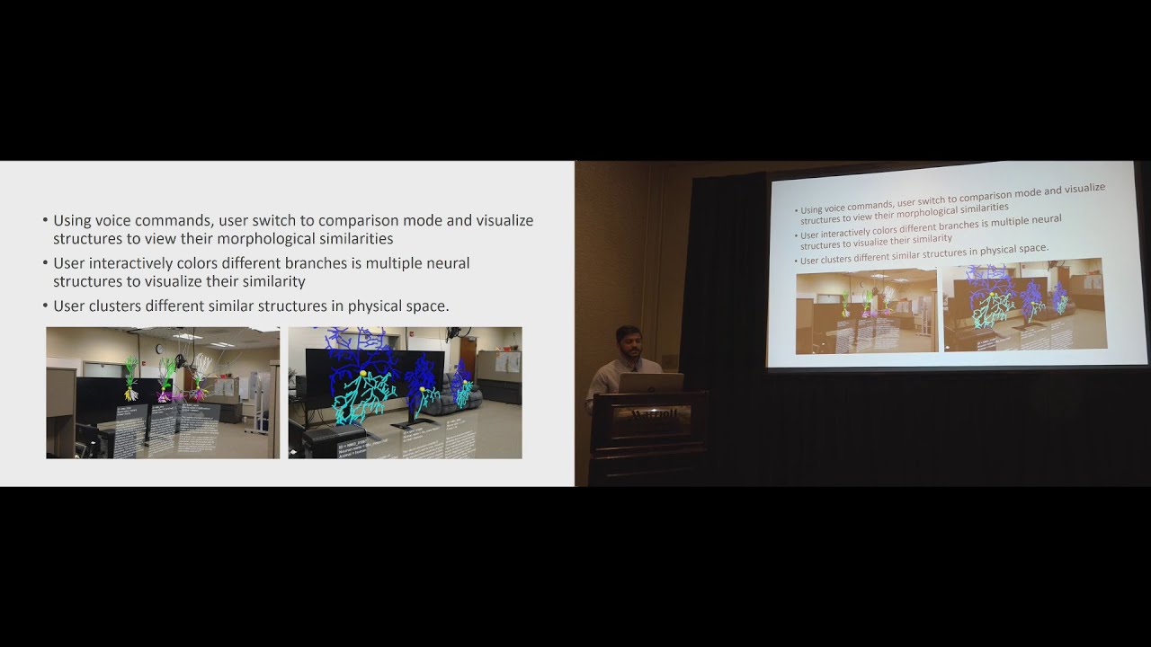 ImWeb: cross-platform immersive web browsing for online 3D neuron database exploration