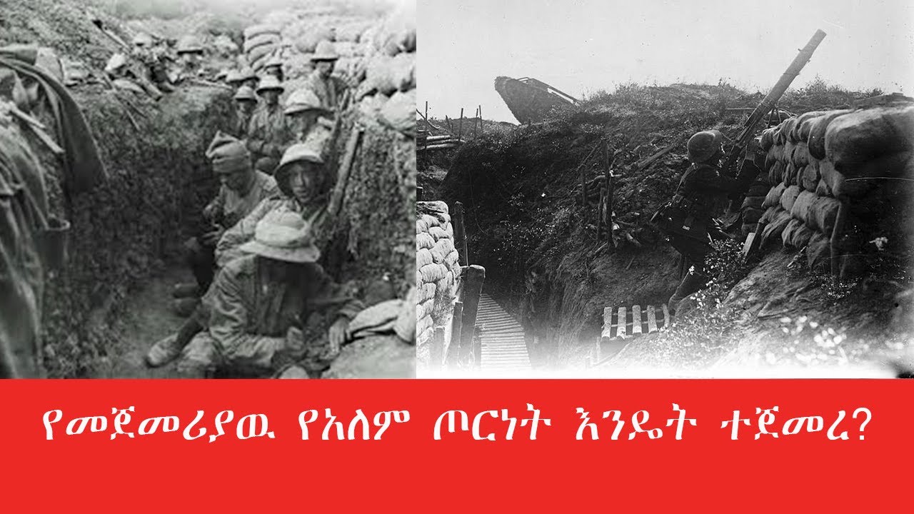የመጀመሪያዉ የአለም ጦርነት እንዴት ተጀመረ?