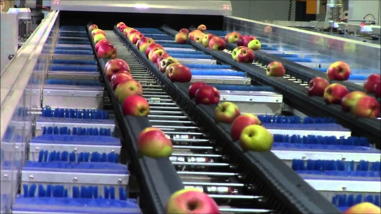 GranTorino Apples