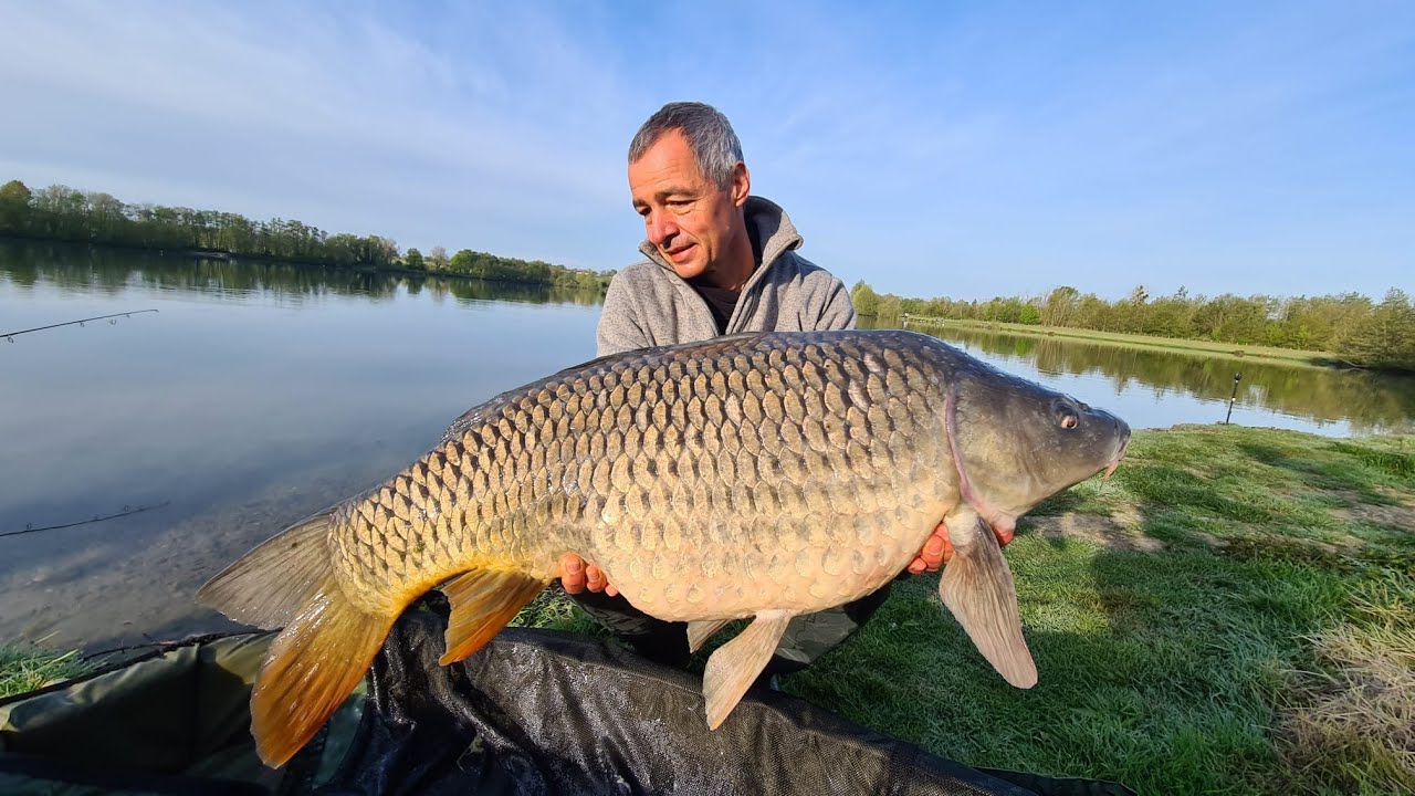 Carp'Avenir 2022