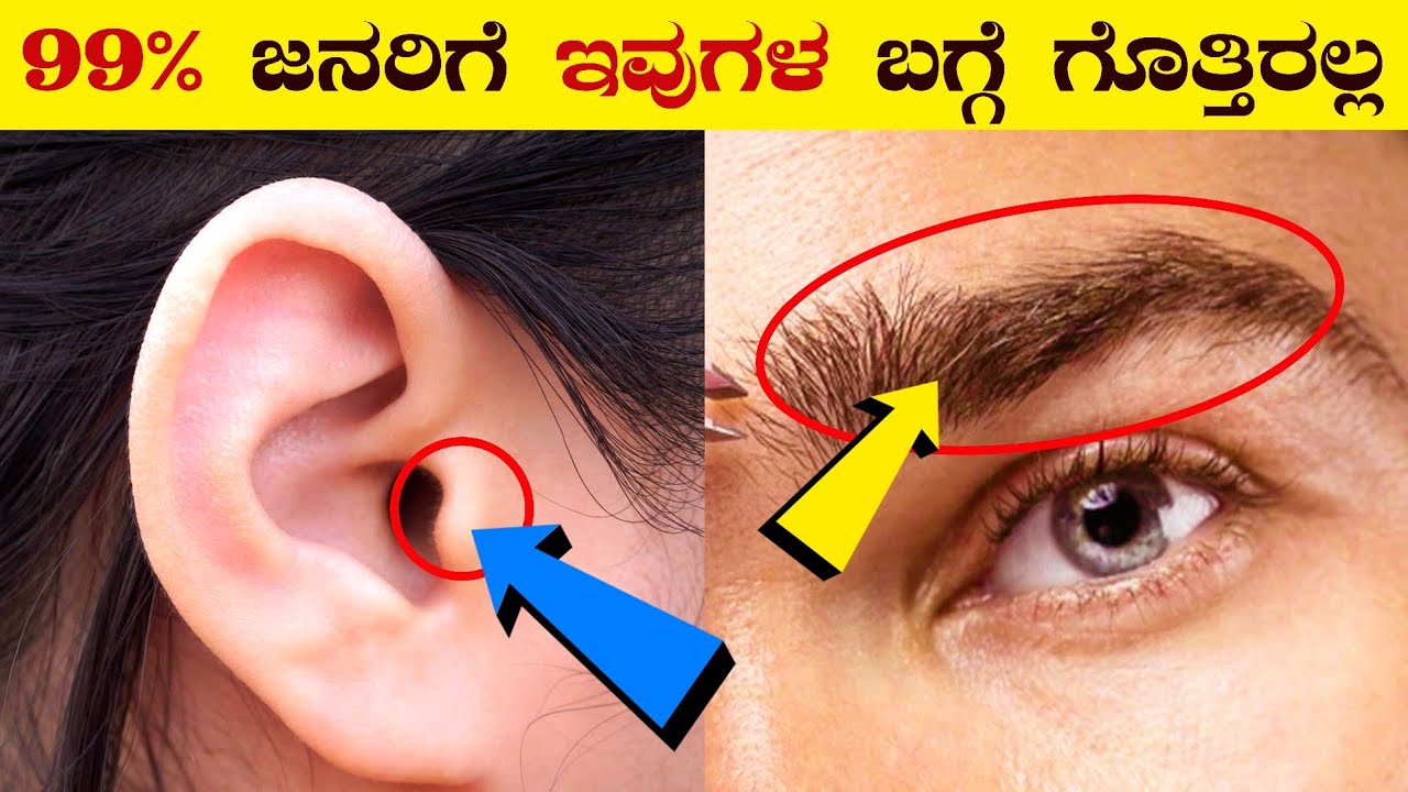 99% ಜನರಿಗೆ ಈ ವಿಷಯಗಳು ಗೊತ್ತಿಲ್ಲ | Top 20 Facts About Human Body & Brain you didn't Know | VismayaVani