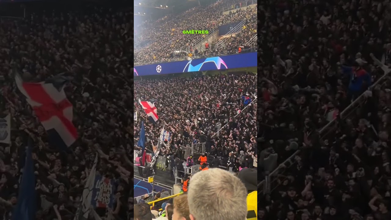 PSG fans in Dortmund