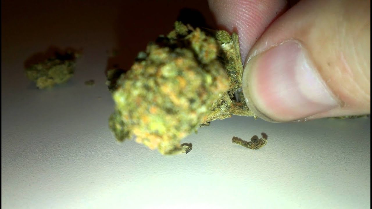 Dank Grape Crack!