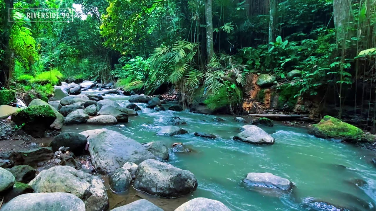 River Sound for Sleeping | Peaceful Water Flow to Relax Mind and Body