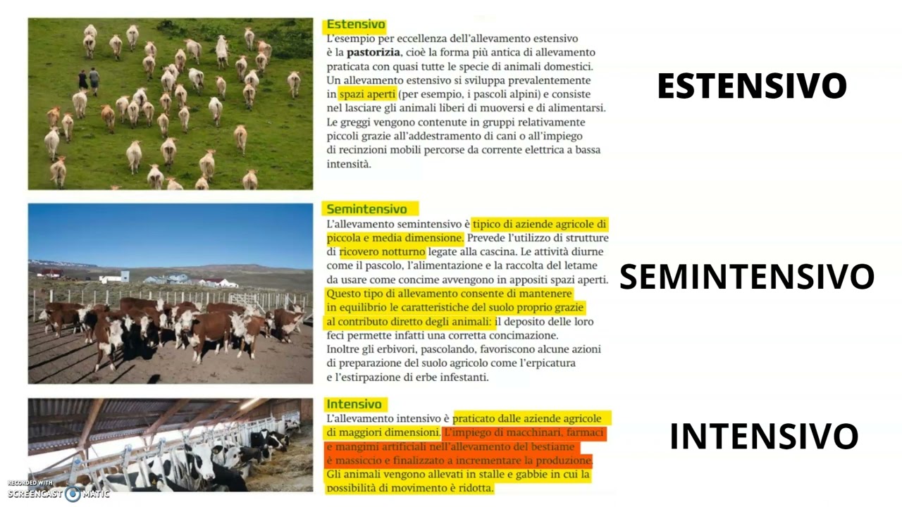 ALLEVAMENTO E PESCA
