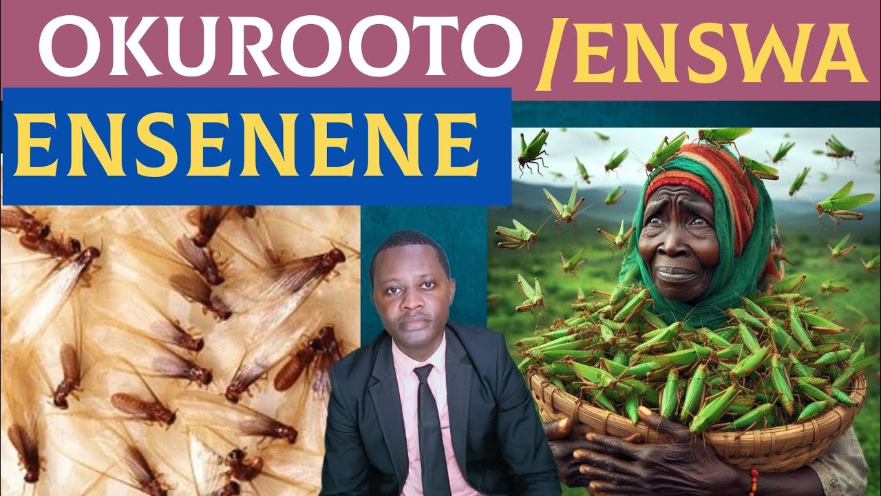 okuroota ENSENENE oba ENSWA kitegezaki By Brother Steven
