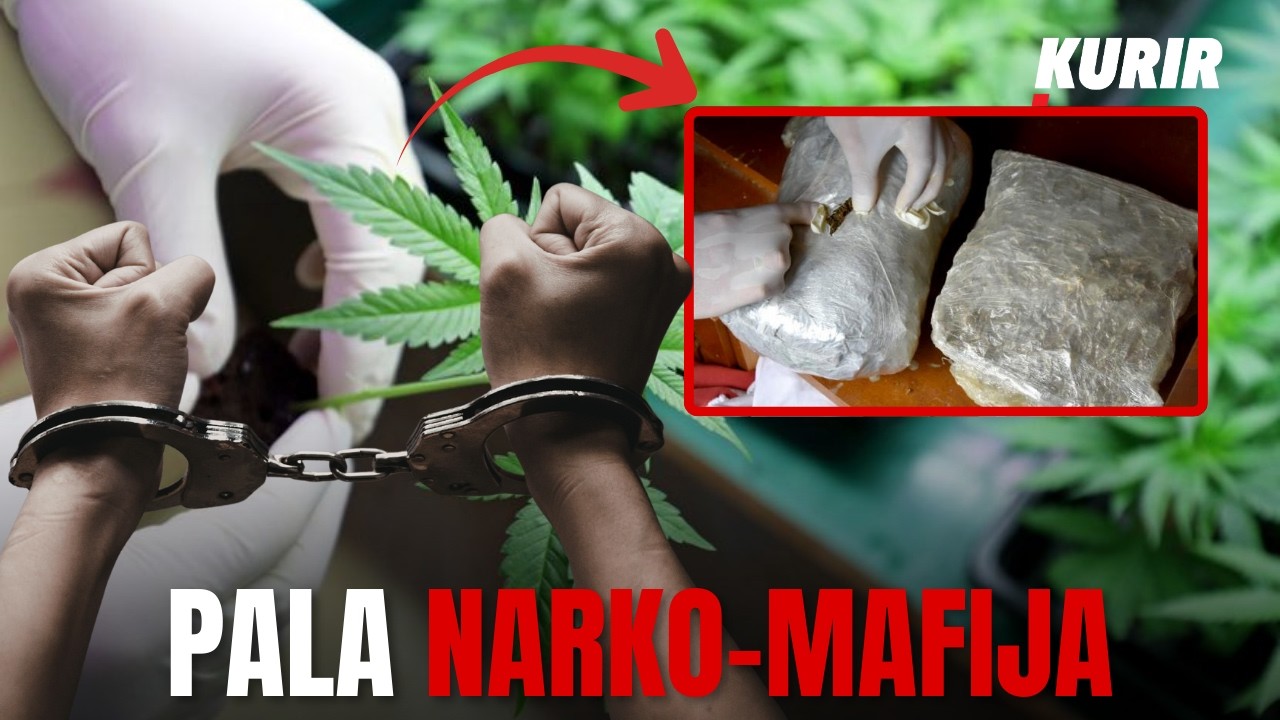 Zaplena marihuane otvara nova politička pitanja!