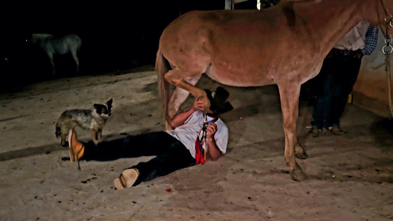 IRMÃO COM IRMÃO RASGANDO  CATIRA SERÁ QUE SAI ? / MULA QUE SENTA É MAIS CARA