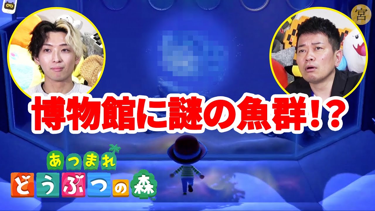 あつ森 #06【釣った覚えのない○○○の大群に遭遇しました】