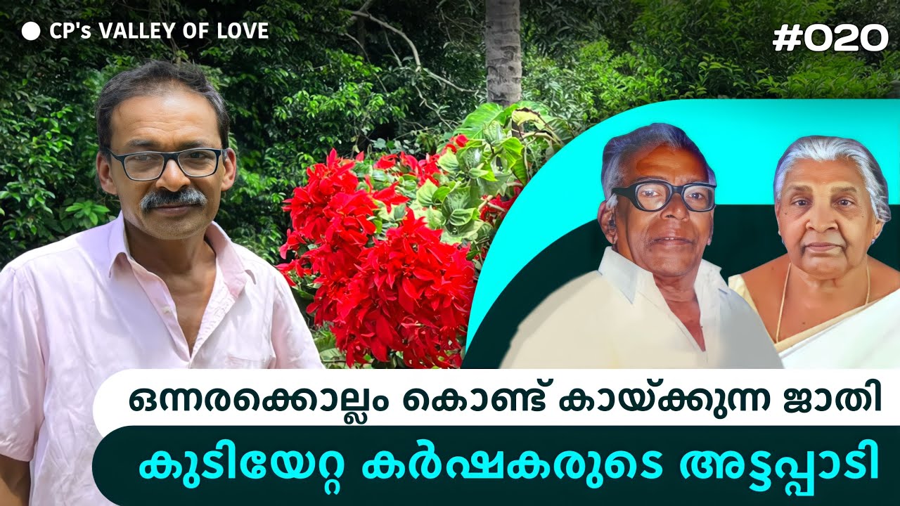 അട്ടപ്പാടിയിലെ കുടിയേറ്റ കൃഷിക്കാർ | Nutmeg bears fruits in 18 months | പുന്നത്താനം | Punnathanam