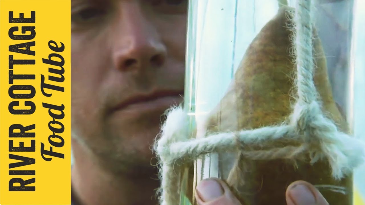 Pear in a Bottle | Craig Rudman