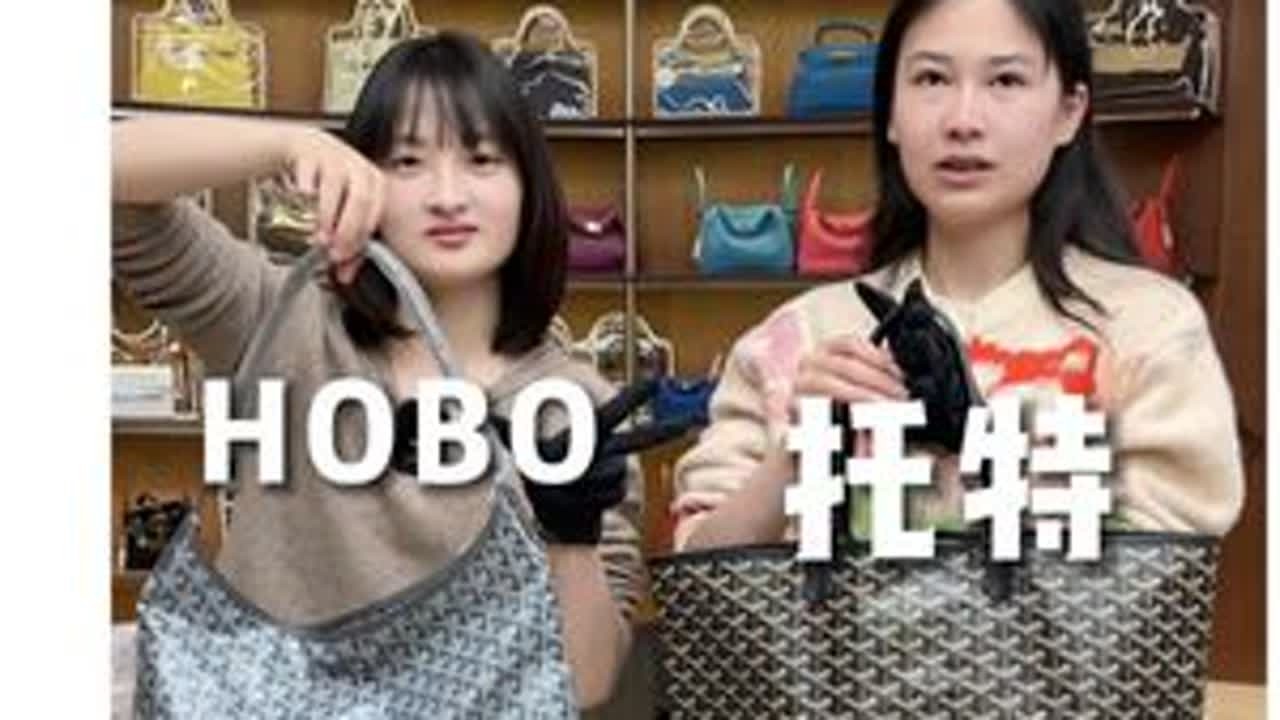 一个视频告诉你戈雅 hobo/托特，到底怎么选 #二手奢侈品 #戈雅hobo #戈雅托特#包包 #推荐