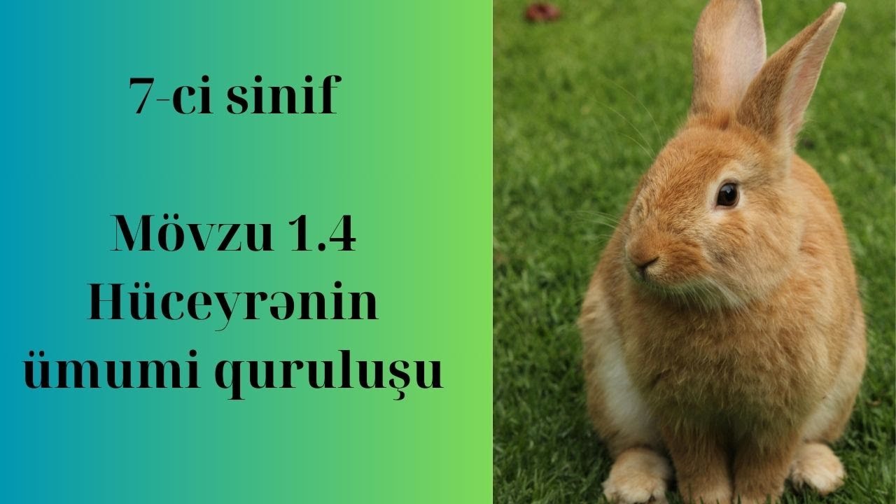 Hüceyrənin ümumi quruluşu (ev tapşırıqları və oyunla birgə) #biologiya #ülviyəsəid #miqbiologiya