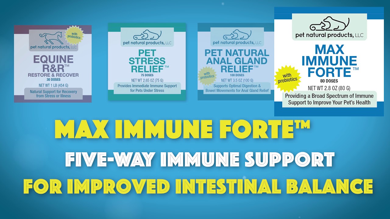 Natural Pet Products for Horses, Dogs and Cats
