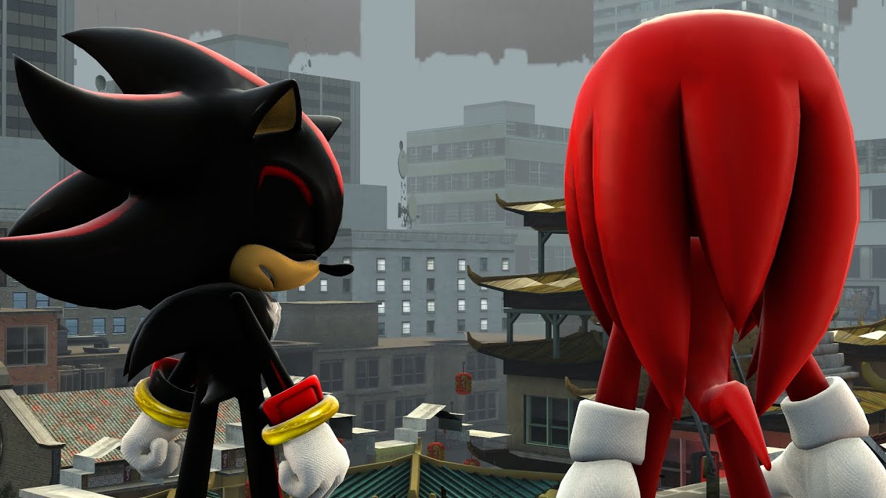 Shadow And Knuckles Makes A Movie