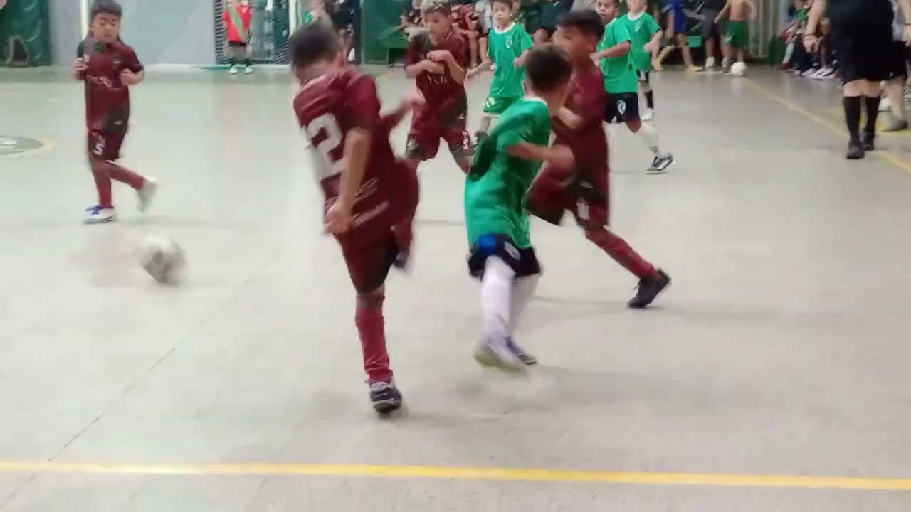 Flecha de Oro - Defensores cat 19