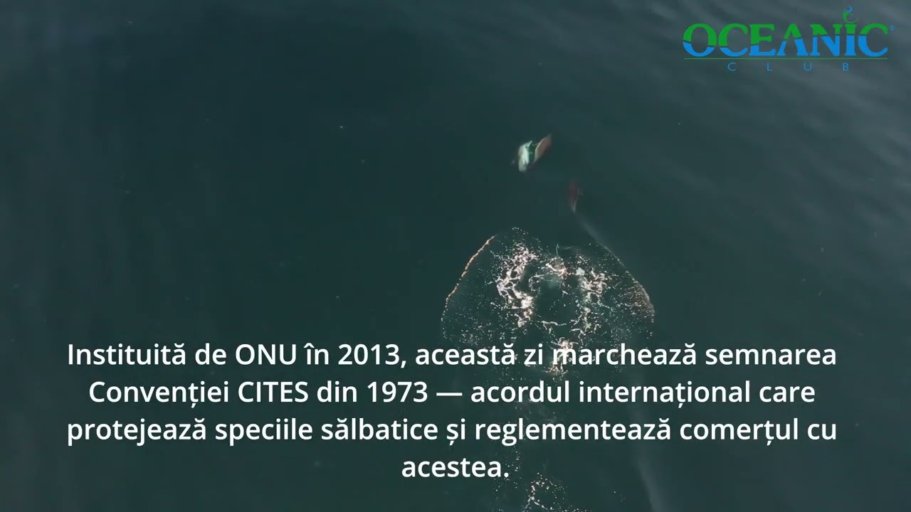 3Martie Ziua Internațională a Vieții Sălbatice