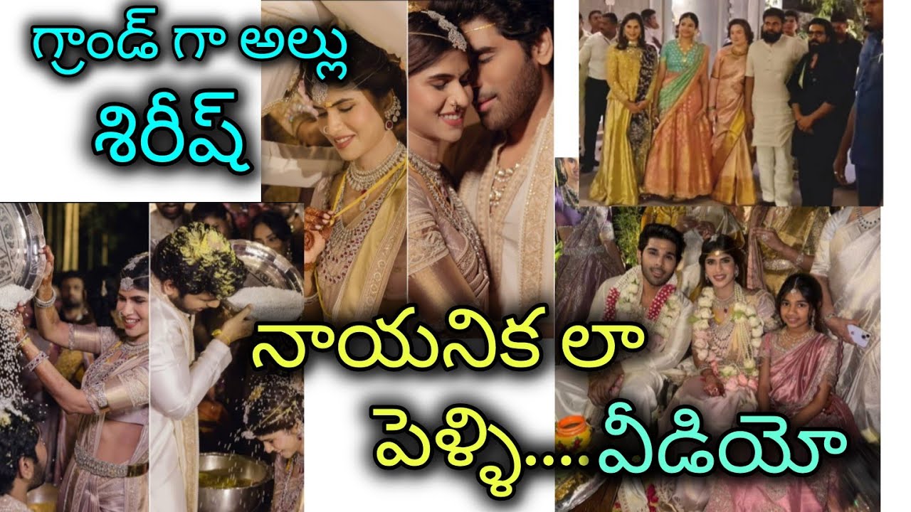 అల్లు శిరీష్ నాయనిక పెళ్లి వీడియో #viralvideo #viral #trendingshorts #allushirish #trending #new 