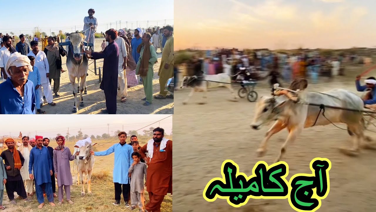 نیو بیل ریس اڈا مظفرگڑھ خان پور 17 November mela Malik safdar Baloch ￼