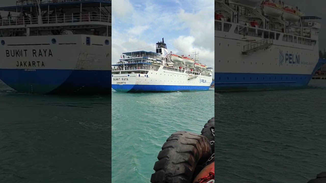 PELNI (km bukit raya) sandar di pelabuhan kijang@SAILORVLOG-y2v #like#sbuscrib#youtubeshorts#youtube