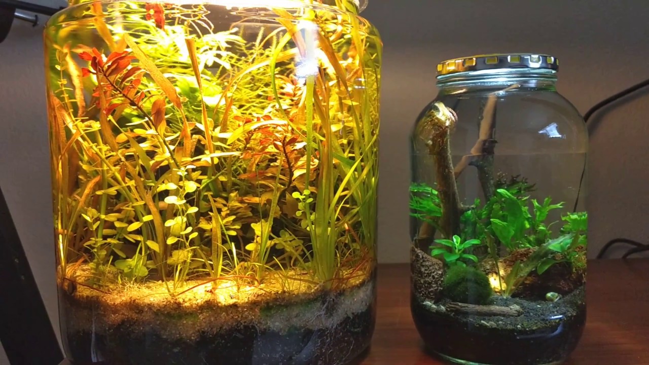 NANO JAR AQUARIUMS
