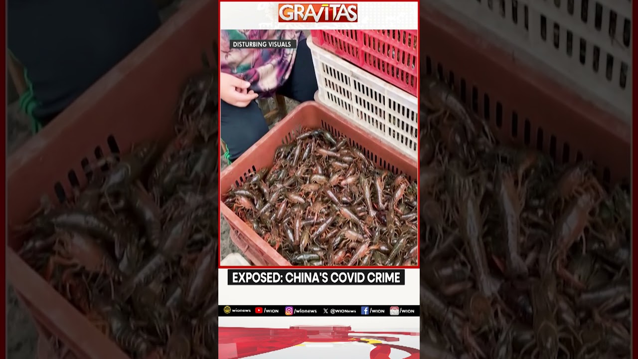 EXPOSED: China&rsquo;s Covid Crime and Sinister Cover-Up | Shocking New Report | Gravitas | World News