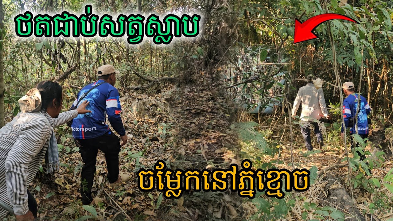 ថតជាប់សត្វស្លាបចម្លែកនៅភ្នំខ្មោច