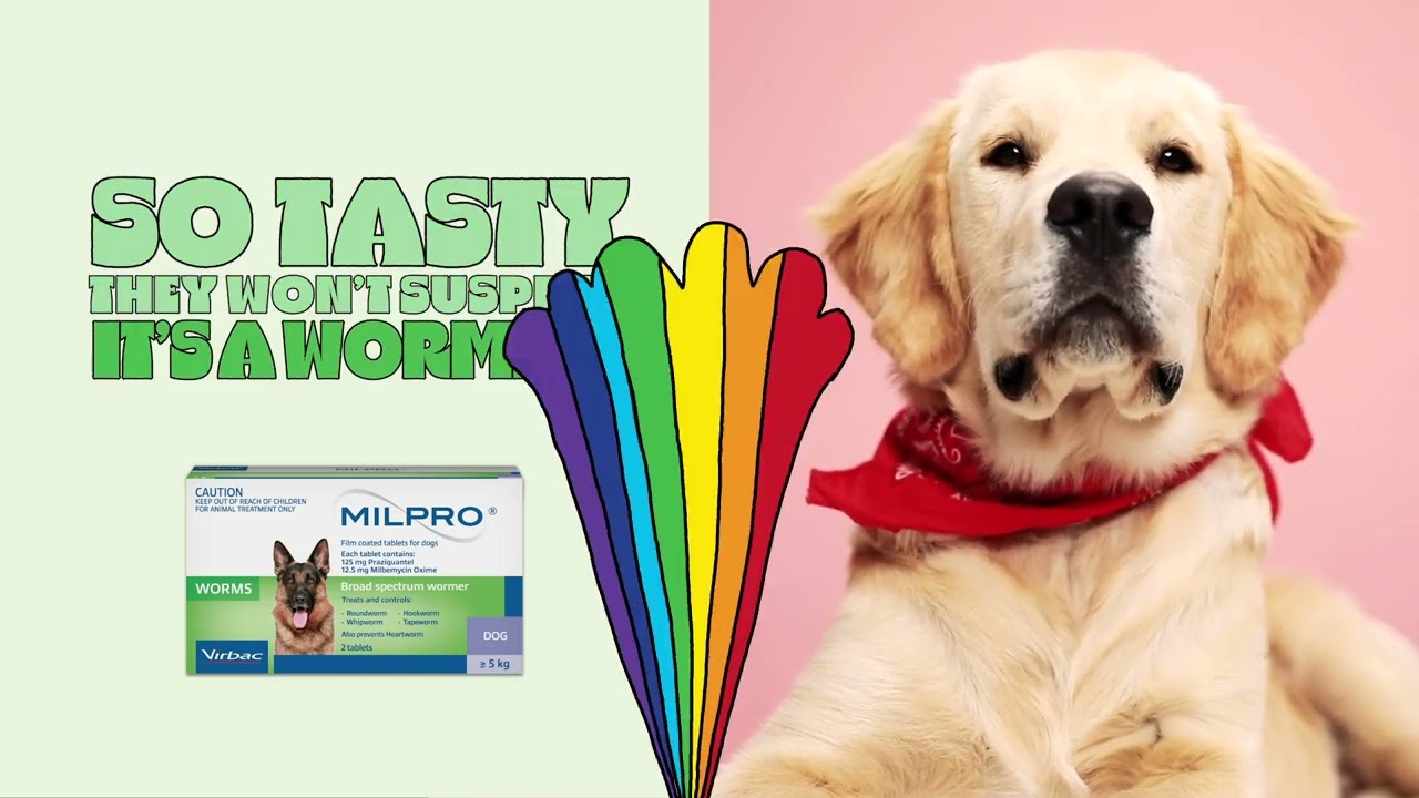 Milpro&reg; Wormer for Dogs &ndash; So Easy