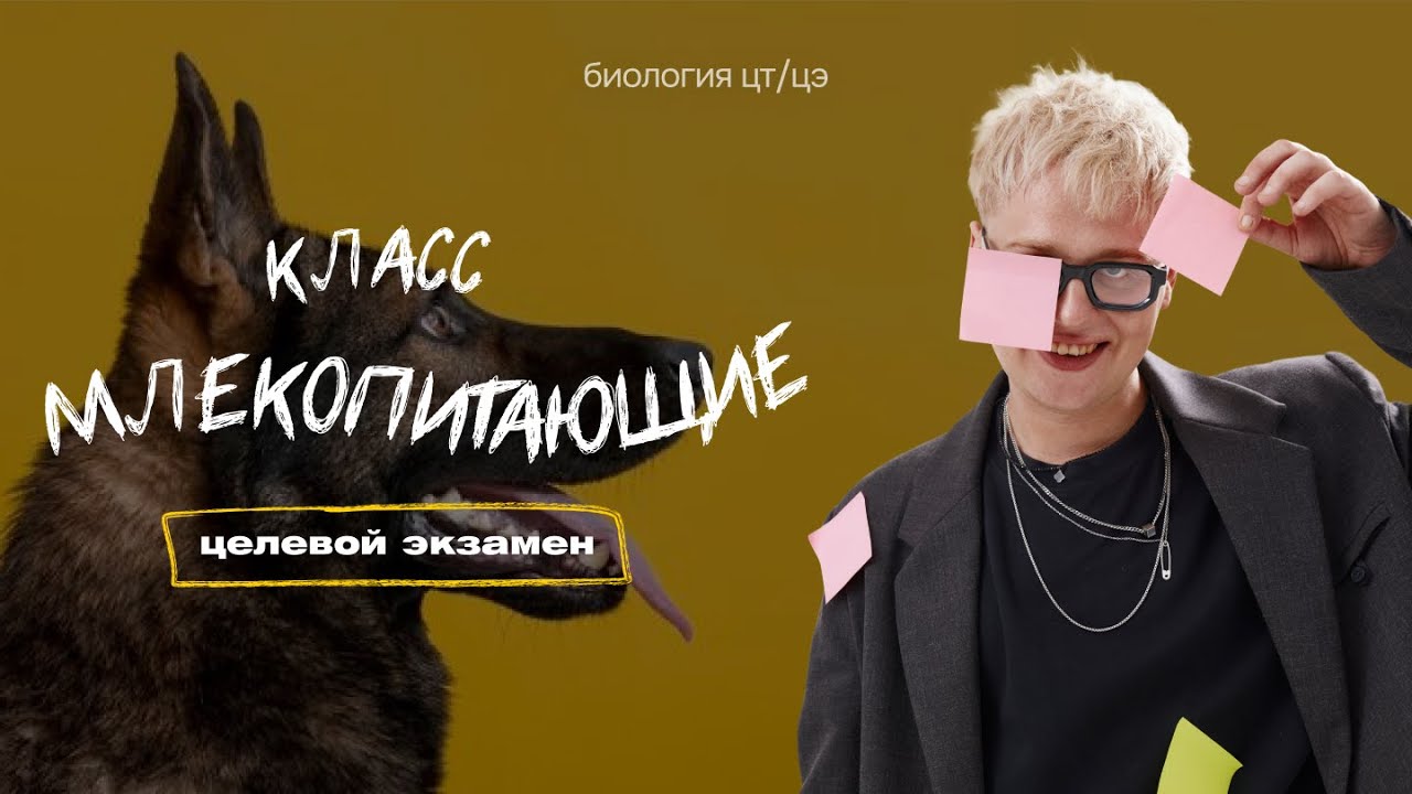 КЛАСС МЛЕКОПИТАЮЩИЕ | Целевой экзамен